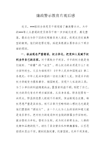 廉政警示教育片观后感