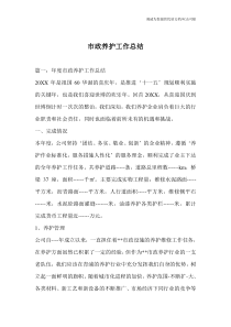 市政养护工作总结