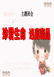 珍爱生命远离毒品主题班会