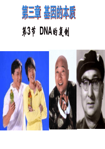 DNA的复制优质课课件