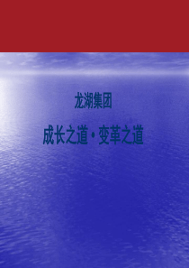集团总结与未来规划