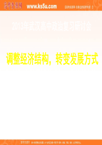 研讨会资料《调整经济结构,转变发展方式》