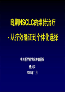 晚期非小细胞肺癌的维持治疗