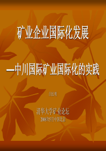 矿业企业国际化发展