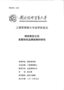 神州泰岳公司发展知名品牌战略的研究