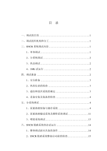 脱销SNCR调试方案