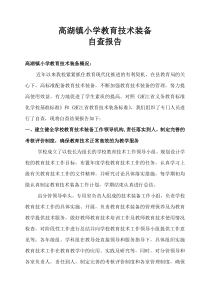 高湖镇小学教育技术装备自查报告
