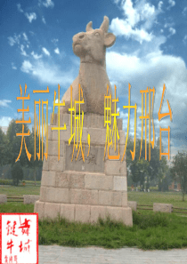 邢台未来规划