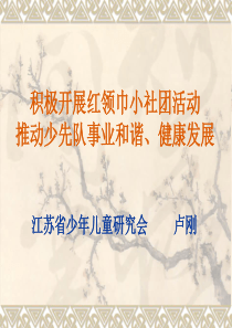 积极开展红领巾小社团活动推动少先队事业和谐、健康发展