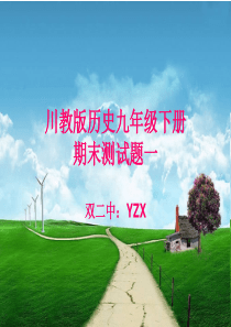 川教版历史九年级下册期末测试题一