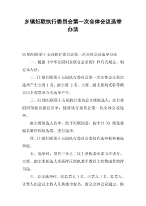 乡镇妇联执行委员会第一次全体会议选举办法