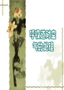 人教新课标版初中七下第四单元3[1].1呼吸道对空气的处理ppt课件3