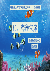 10、《海洋宝库》