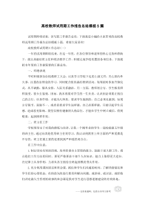 高校教师试用期工作报告总结模板5篇
