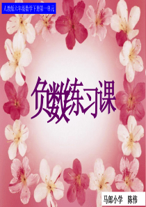 人教版六年级数学下册第一单元第三课时 负数练习课