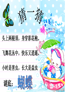 蝴蝶的一生ppt.