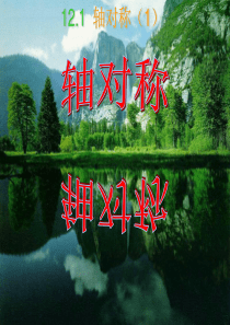 蝴蝶轴对称动画