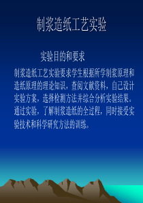 制浆造纸工艺试验