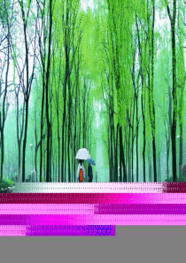 七年级语文上册《春》ppt课件