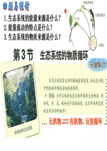 第三节生态系统的物质循环(上课用)