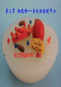 细胞核――系统的控制中心 ppt