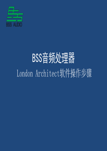 BSS BLU100系列处理器软件基本操作