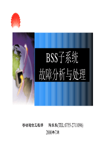 BSS故障分析与处理
