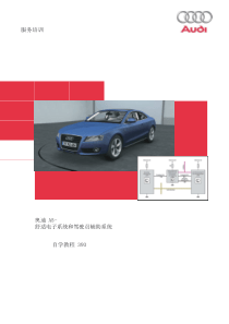 SSP393_奥迪A5舒适电气CN