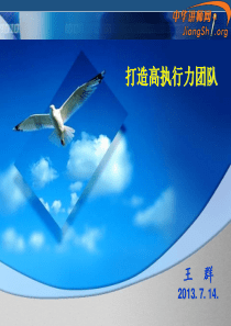 高执行力团队(王群)-中华讲师网