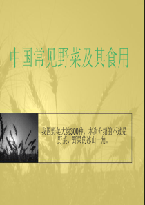 中国常见野菜及其食用