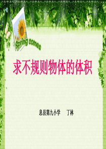 《求不规则物体的体积》ppt课件