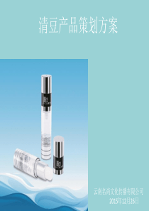 某公司清豆产品策划方案PPT(共-84张)
