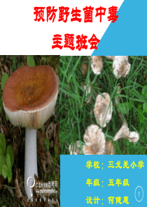 新版预防野生菌中毒主题班会课件