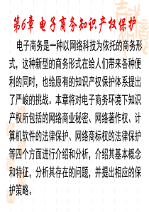 第6章-电子商务知识产权保护