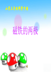 三年级科学下册《磁铁的两极》优质课件