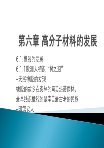 第六章高分子材料的发展
