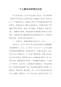 个人廉洁自律情况总结