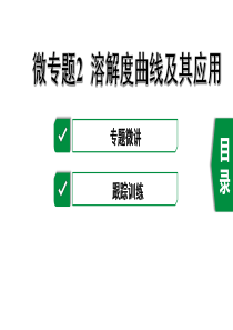2020年福建中考化学复习微专题2-溶解度曲线及其应用