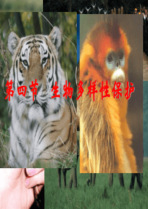 人教版地理选修6《生物多样性保护》4