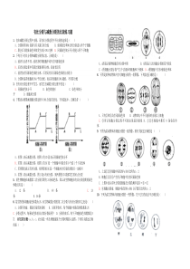 有丝分裂与减数分裂综合练习题及答案