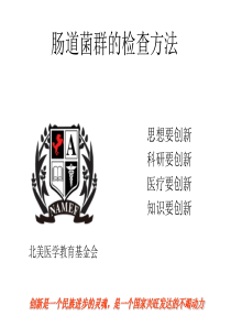 肠道菌群的检查方法