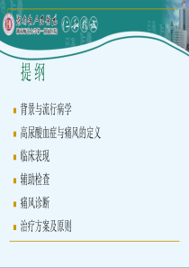 高尿酸血症与痛风精华版