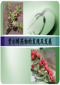 紫杉醇的发现及发展