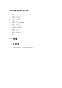 项目可行性分析报告基本框架
