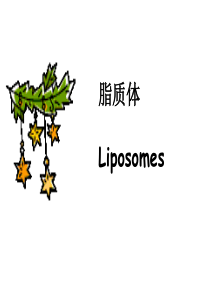 脂质体技术