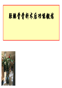 胫腓骨骨折术后功能锻炼