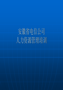 『人力资源培训』某电力公司人力资源管理资料