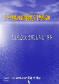 罗兰贝格的培训例案万科发展战略ppt79
