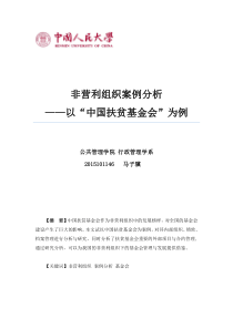 非营利组织案例分析