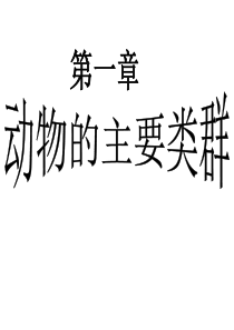 人教版生物八上第五单元复习课件